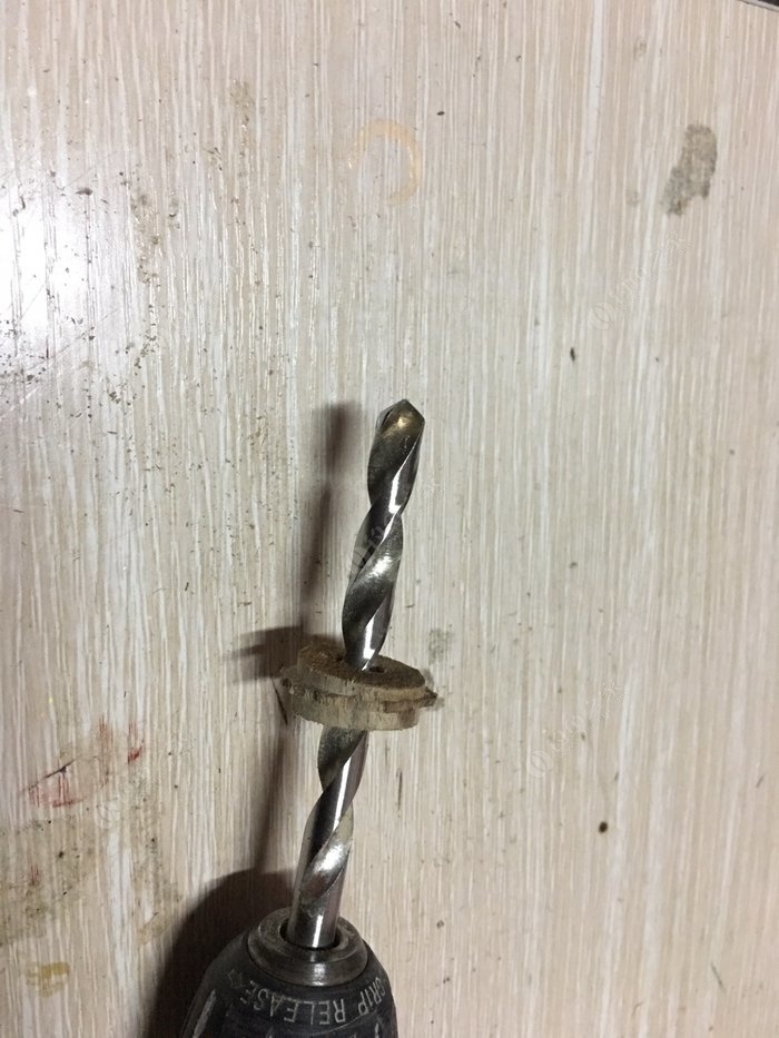 罗汉竹竿,罗汉竹和什么搭配好看