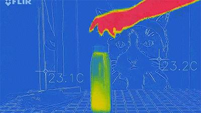 黑科技摇一摇水杯变热,摇一摇变热杯