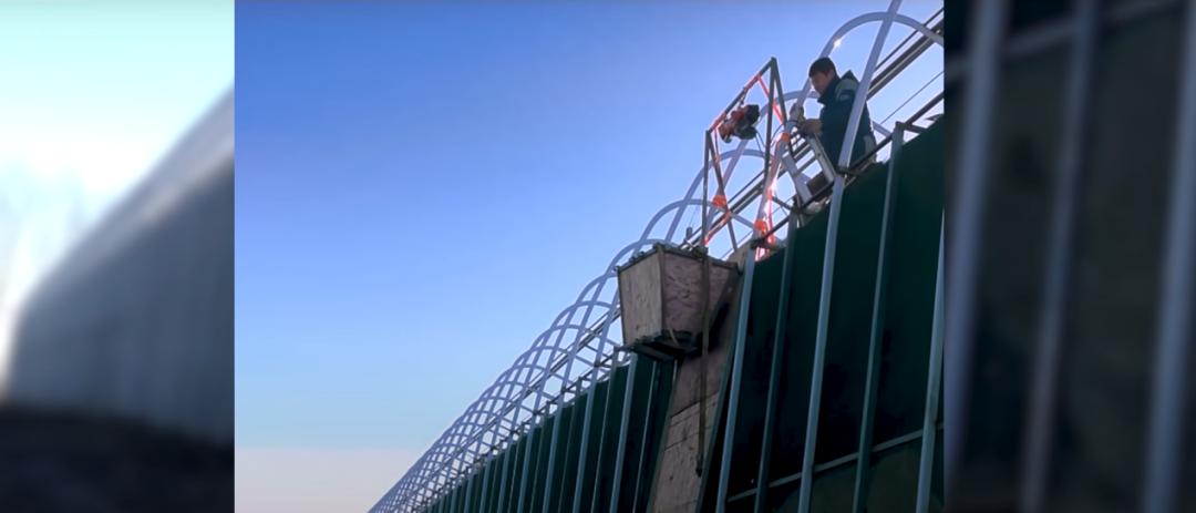 董菜菜真名,董菜菜抖音