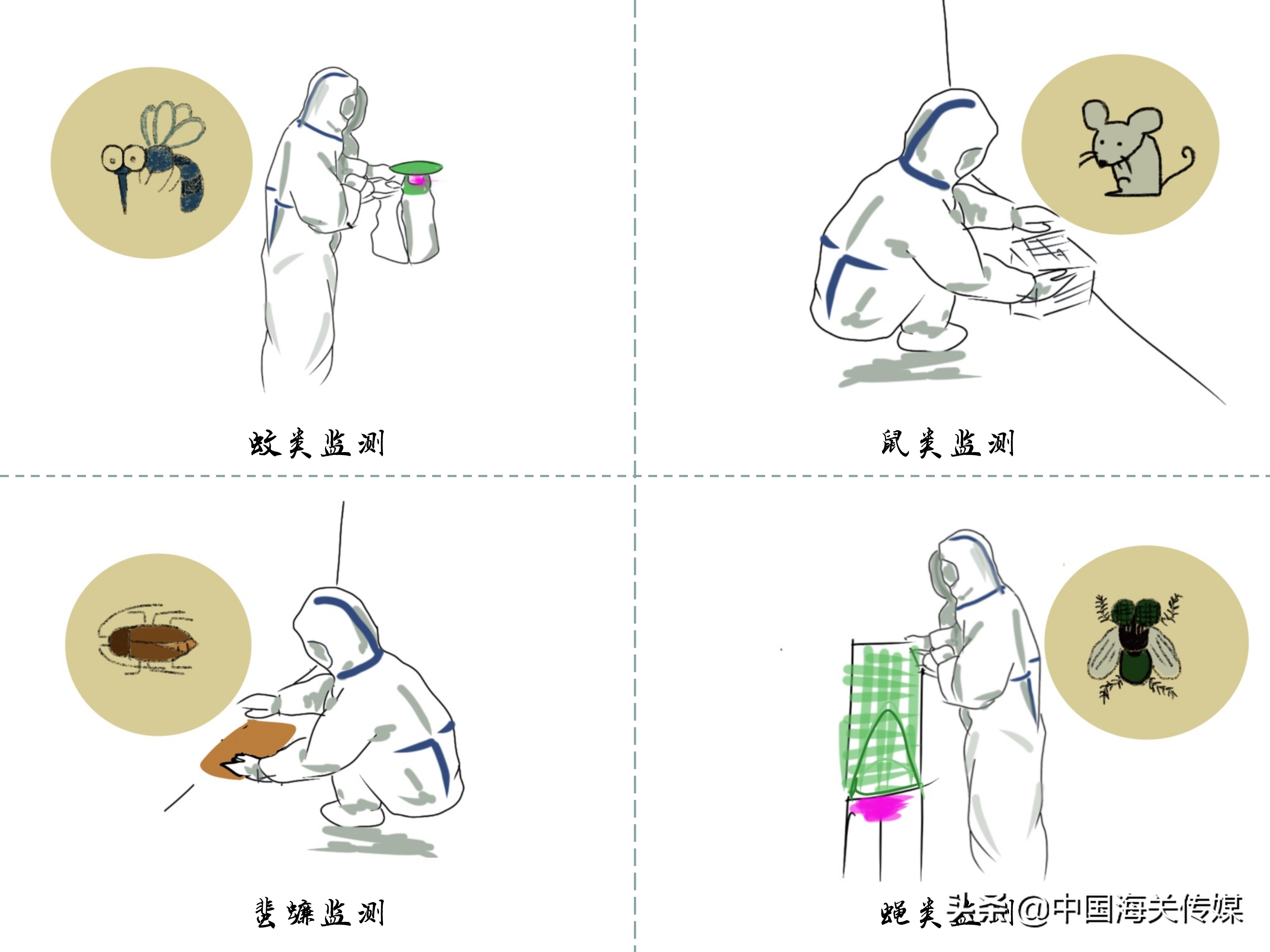 婕瘽鍎跨瀹夊叏,鍥介棬鐢熺墿瀹夊叏鍔ㄦ极瑙嗛