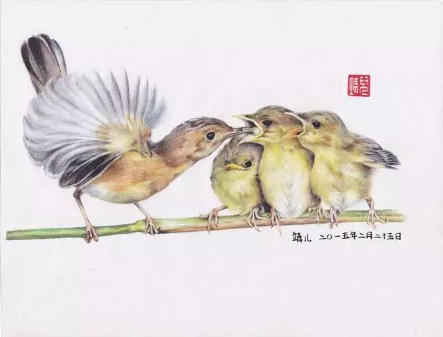 描写动物的好词佳句和片段作文,描写动物的作文句子段落摘抄大全