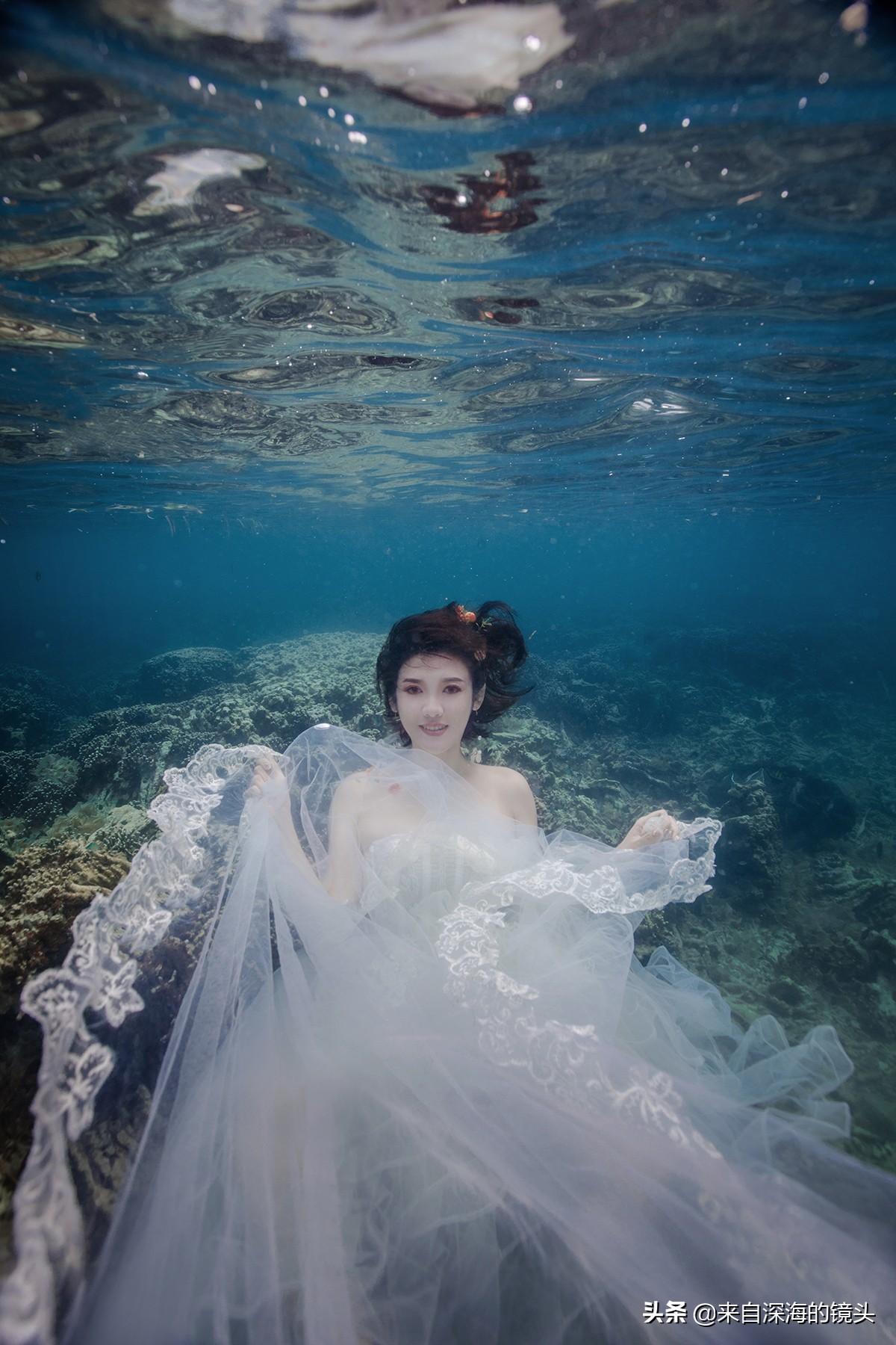 水下拍摄都用什么,水下摄影一般都用什么相机