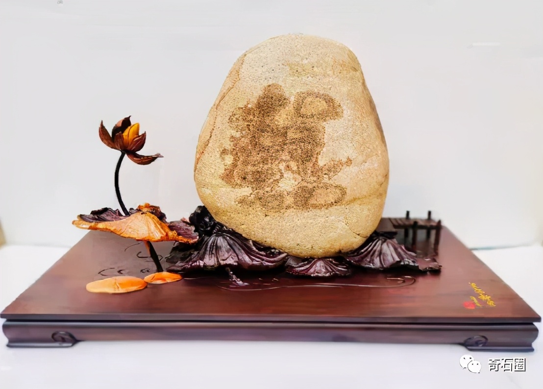 “一见倾心的石头”入围作品展播