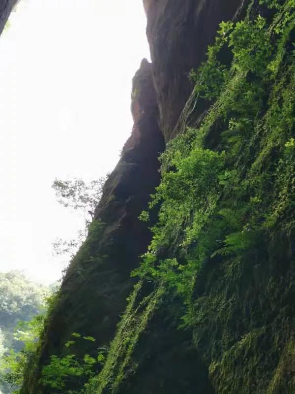 三明大金湖导游词400字,大金湖的景区导游介绍