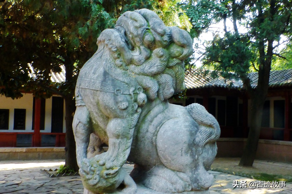 杜康造酒遗址公园视频,酒祖杜康遗址公园竹林讲解