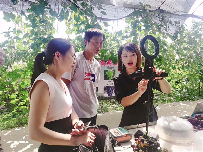 “直播经济”正当红——南阳市探索“互联网+”经济转型新突破