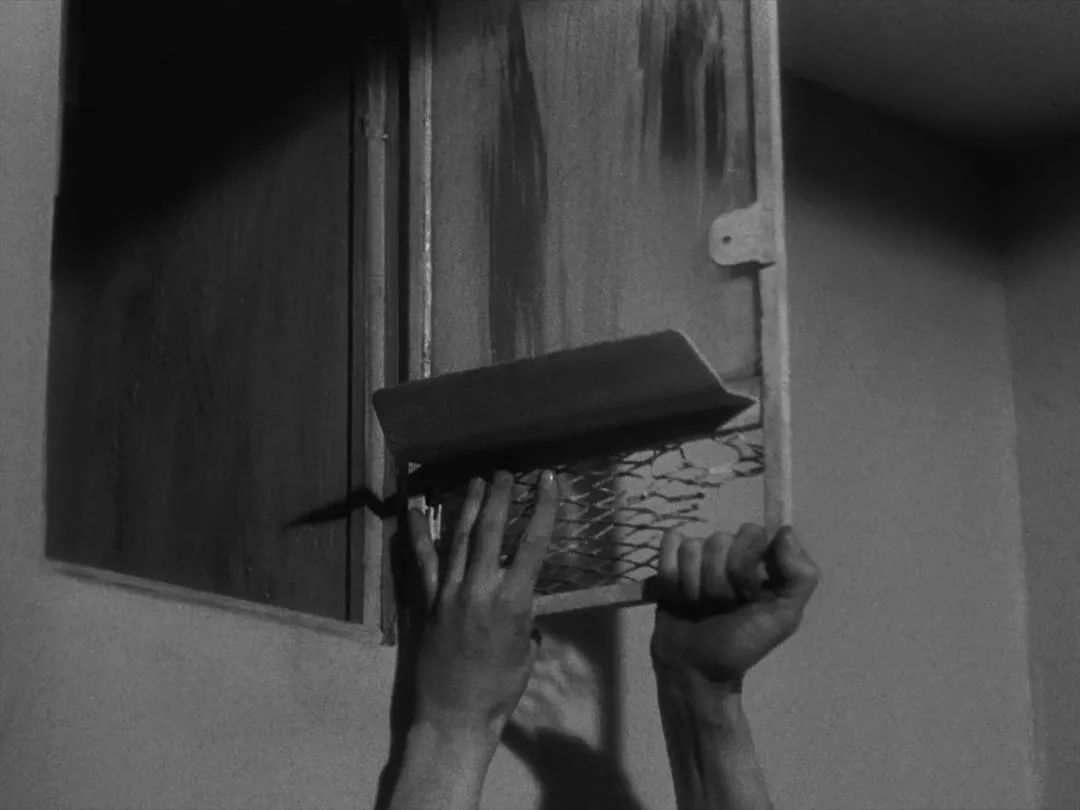 越狱为什么致敬肖申克的救赎,比肖申克的救赎还经典的越狱片