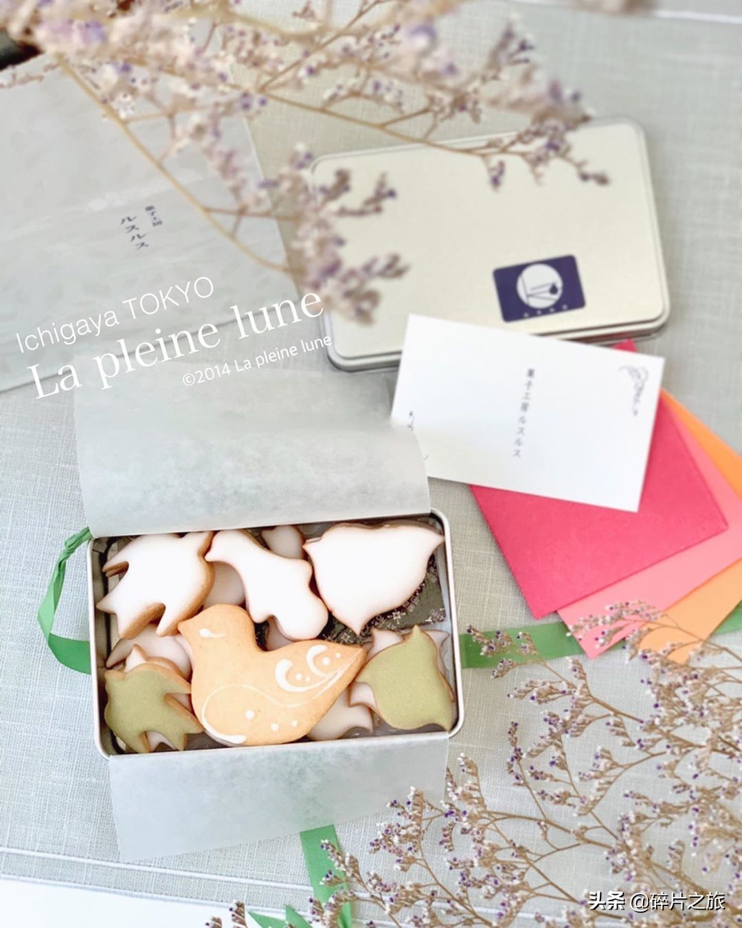 东京购物性价比最高,东京购物必买的几款女装