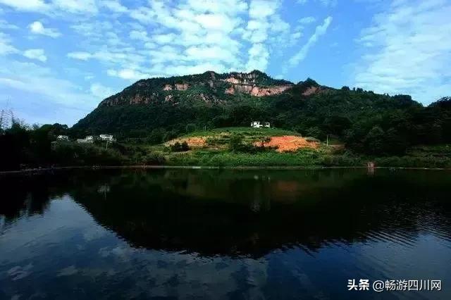 四川发现桫椤群,宜宾发现桫椤群视频