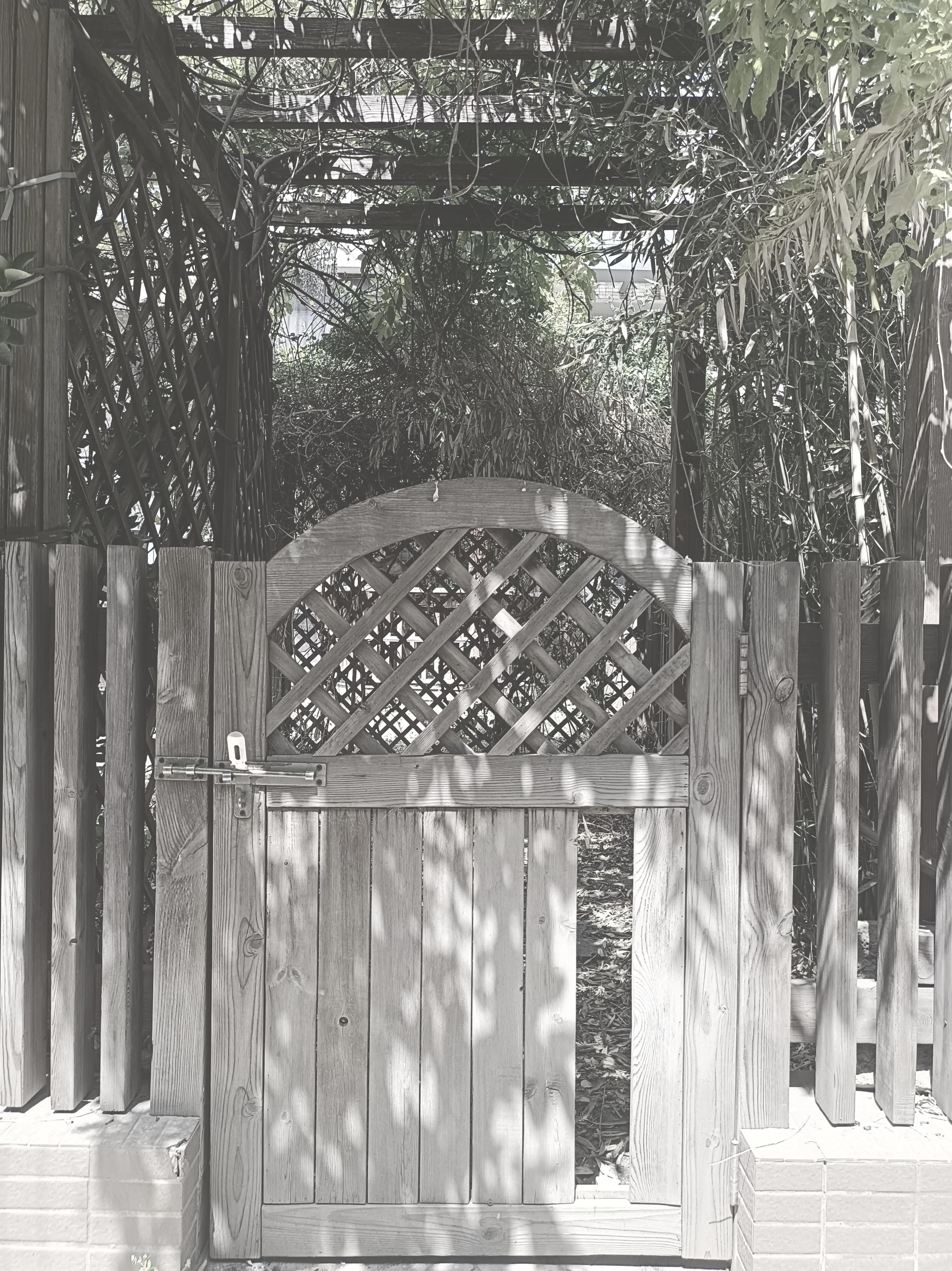 90后婚姻观不想结婚,90后不正常的婚恋观