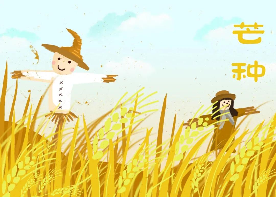 写作积累30首芒种诗词读起来真美,最经典的十首芒种诗词