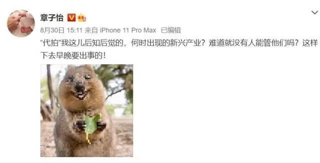 代拍赚钱项目有哪些,那些代拍是怎么赚钱的