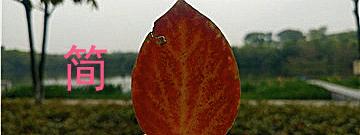 遇到不顺的事很烦怎么办,人在不顺时应做的十件事