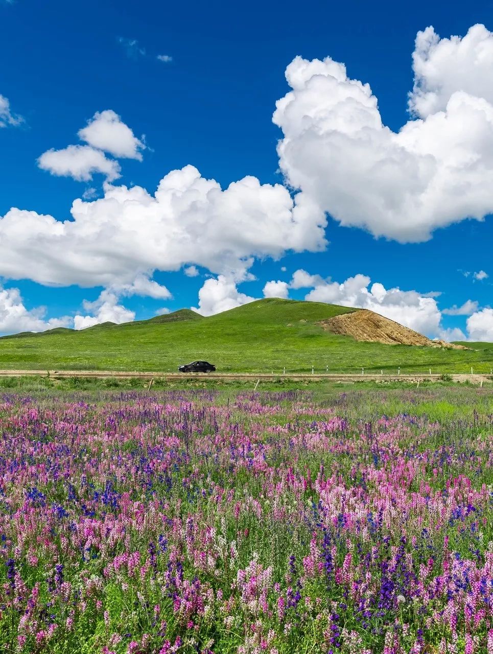 媲美318国道和219国道线路,堪比318美景的国道