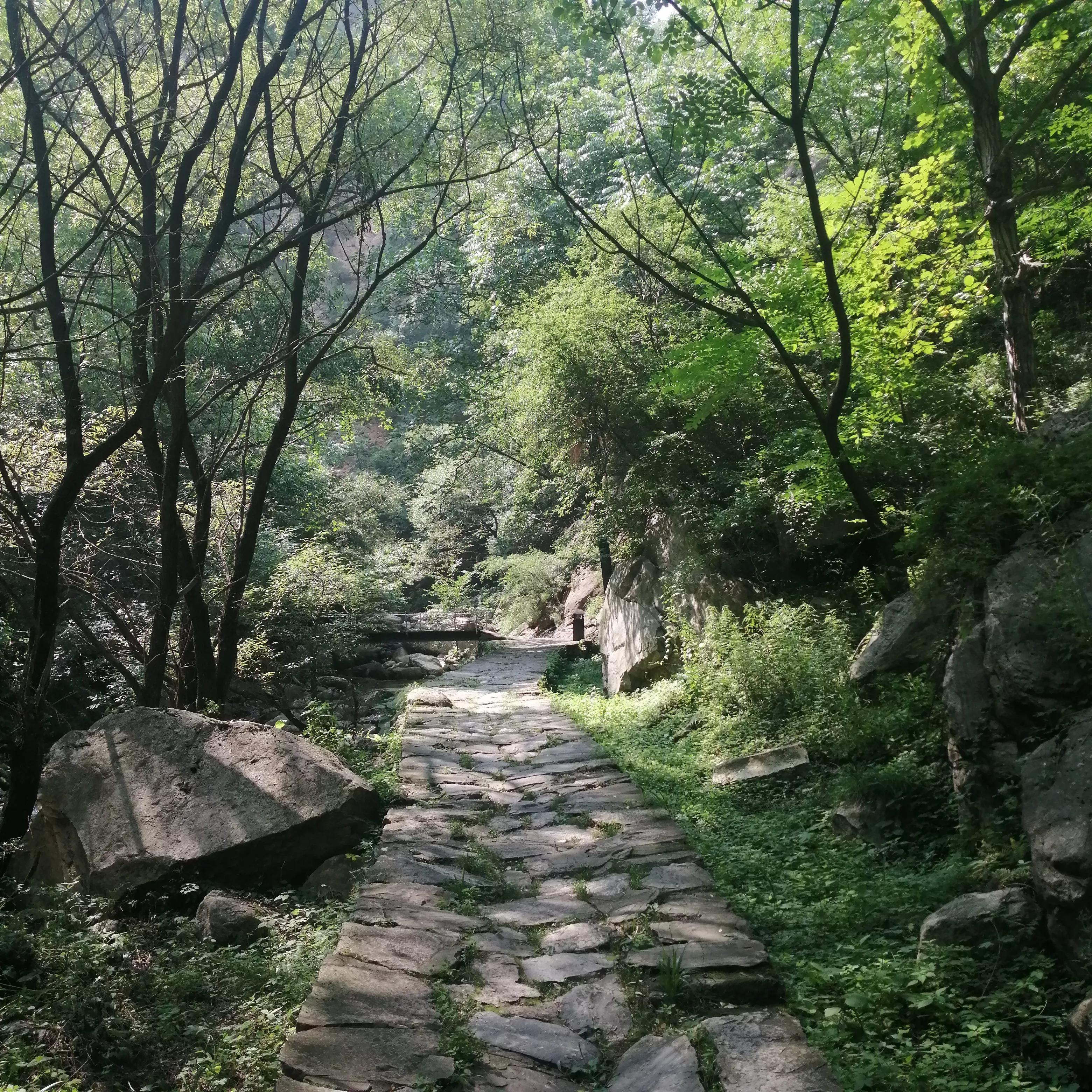 少华山森林公园门票免费吗,少华山森林公园徒步好去处