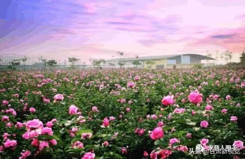 甘肃兰州最大的区,兰州最大的区是哪个区