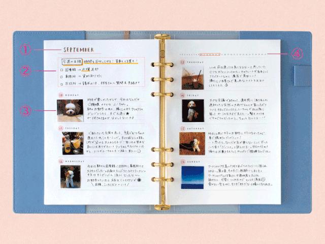 2016日本文具大赏全部产品,omg文具