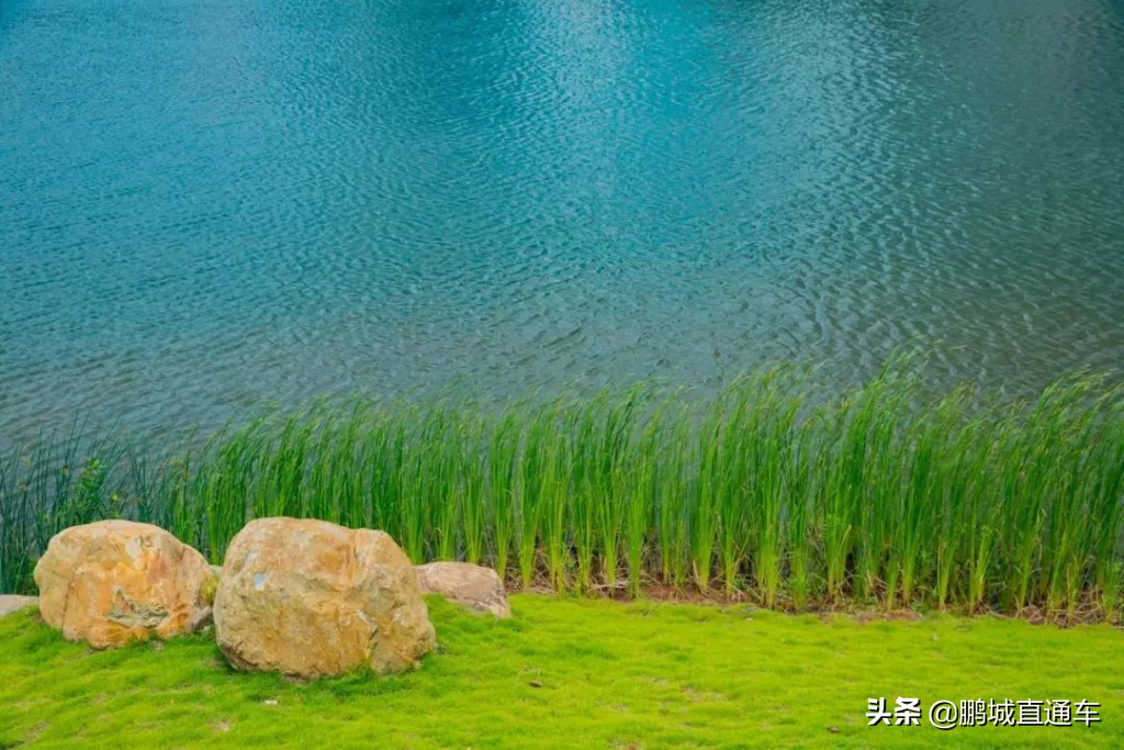 深圳八大主题公园免费开放,深圳遛娃50个必去的主题公园