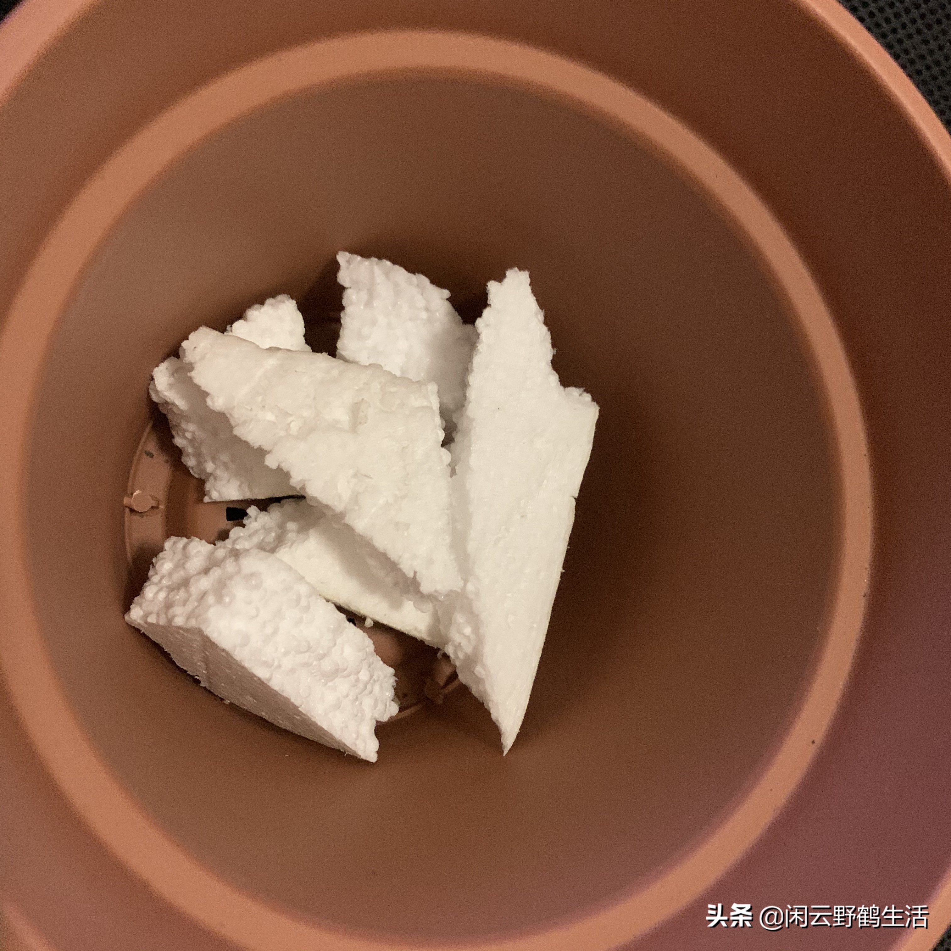 花店前期买哪些花,花店注意事项和建议