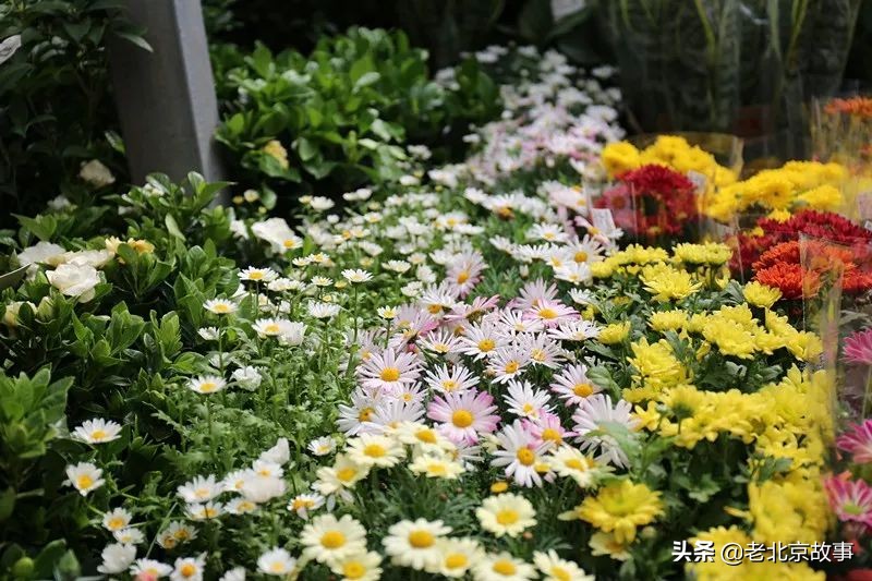 北京国庆节有没有集市,北京国庆假期逛大集