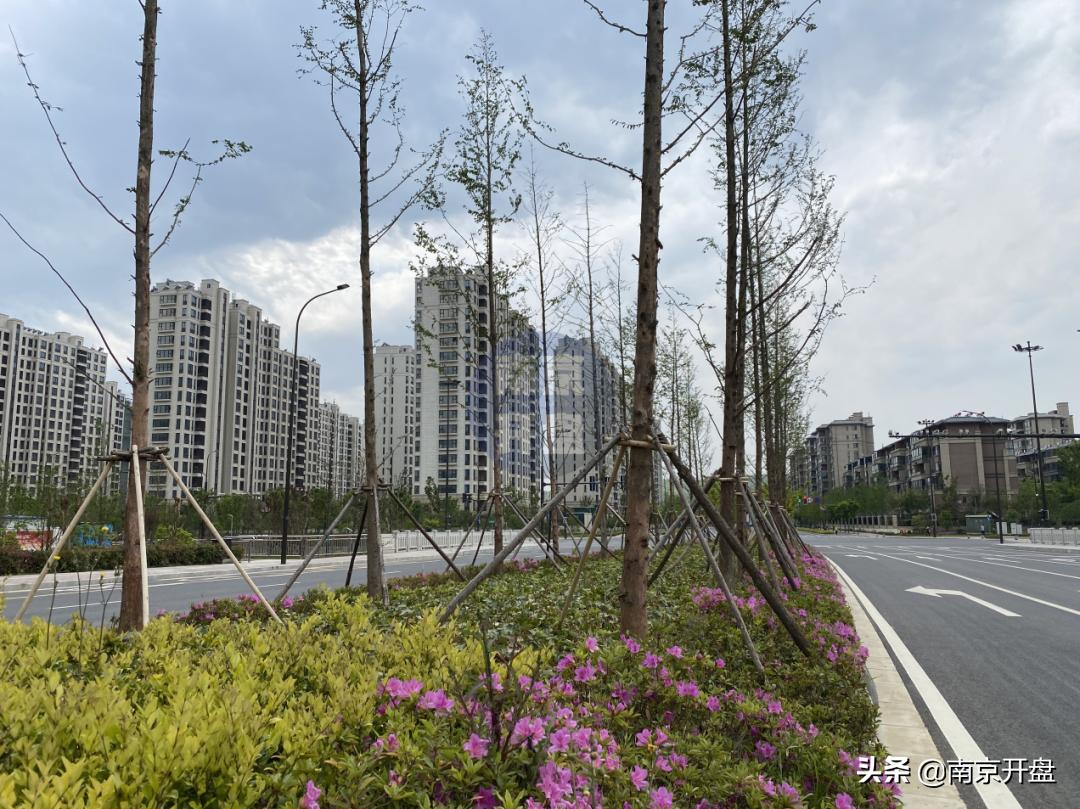 南京房价下跌最惨的区一览表,南京哪些地方房价跌得很惨