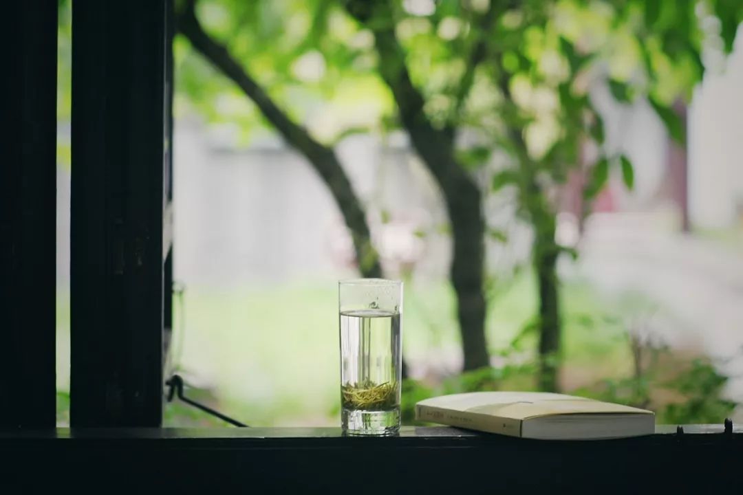 离上海仅1小时，这3座小众安静的江南名园，可惜大多数都没听过！