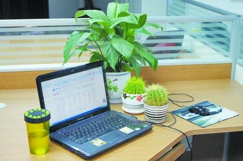 笔记本电脑对孕妇有辐射吗,办公室电脑辐射对孕妇有影响吗