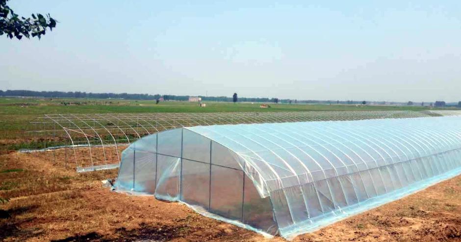 大棚湿度最佳解决方法,大棚育苗怎么控制温度湿度