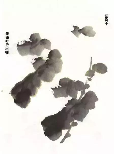 菊花国画入门简单教程,国画菊花画法技法教程