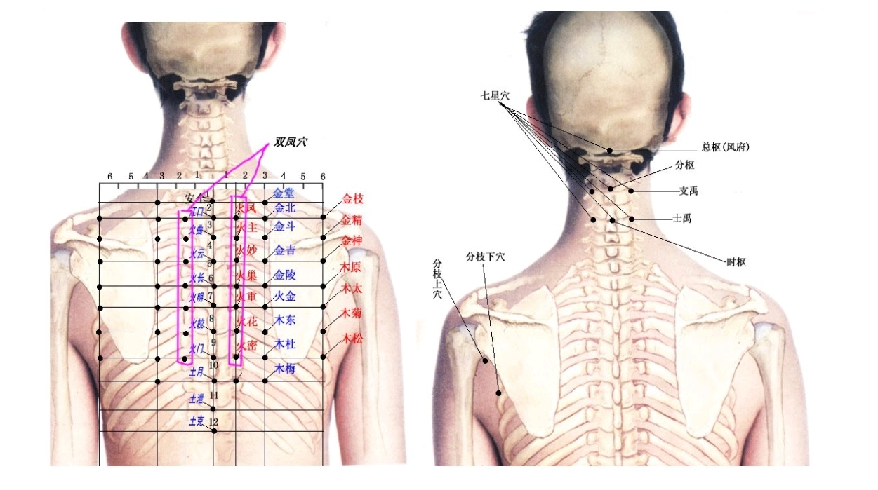 每日一学——学点董穴（1）