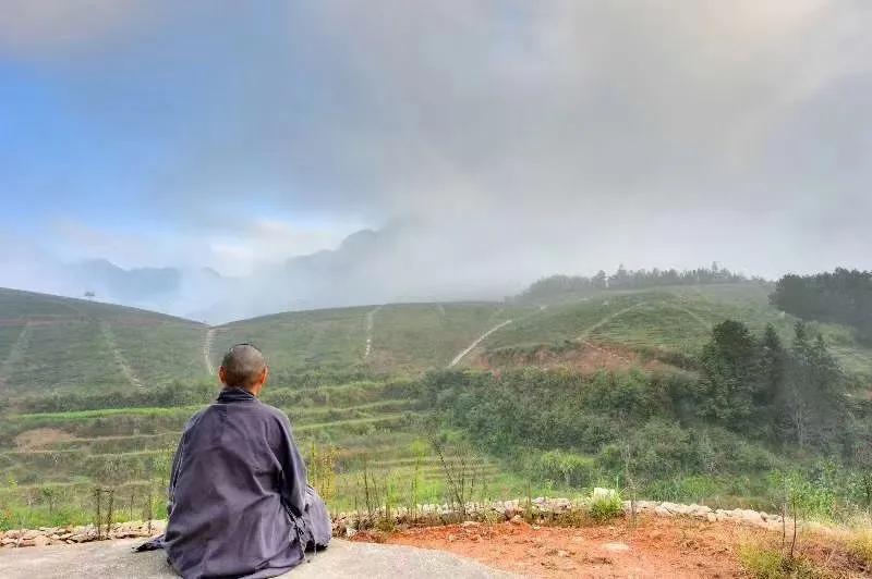 病中岁月，出家人的无依与无悔