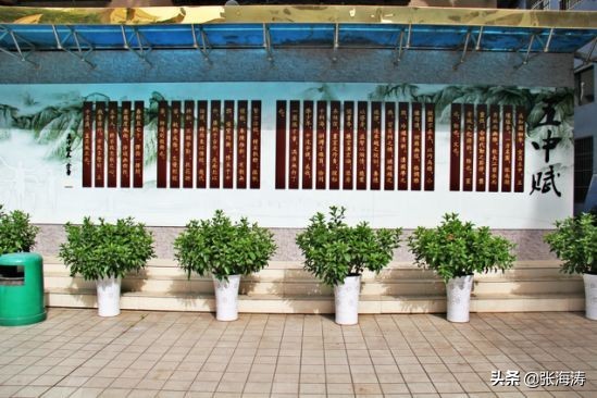 陈英:我的父亲与宜昌五中