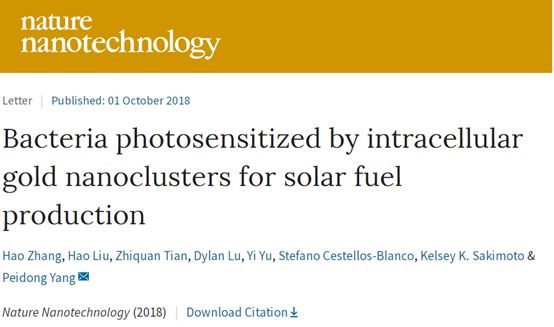 远超美国，中国成化学第一大国，高质量论文超日韩印三国之和