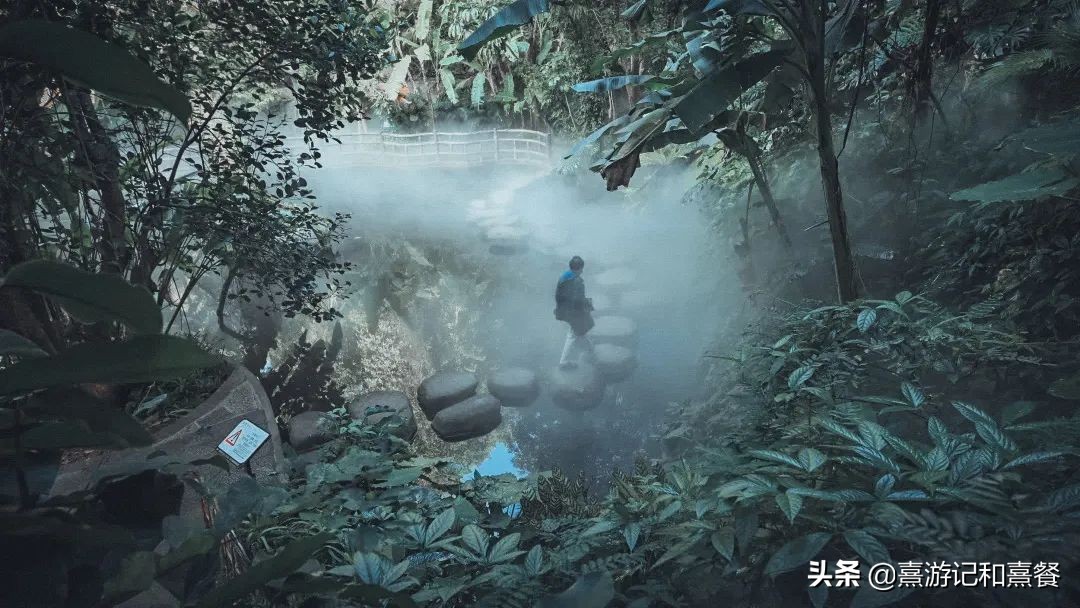 去厦门必须体验的六件事,送给第一次去厦门的五点建议