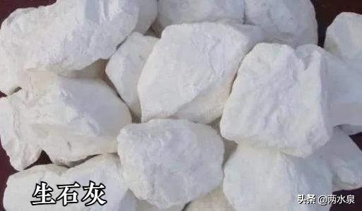 非洲猪瘟害怕哪些消毒剂,使用不当等于白用