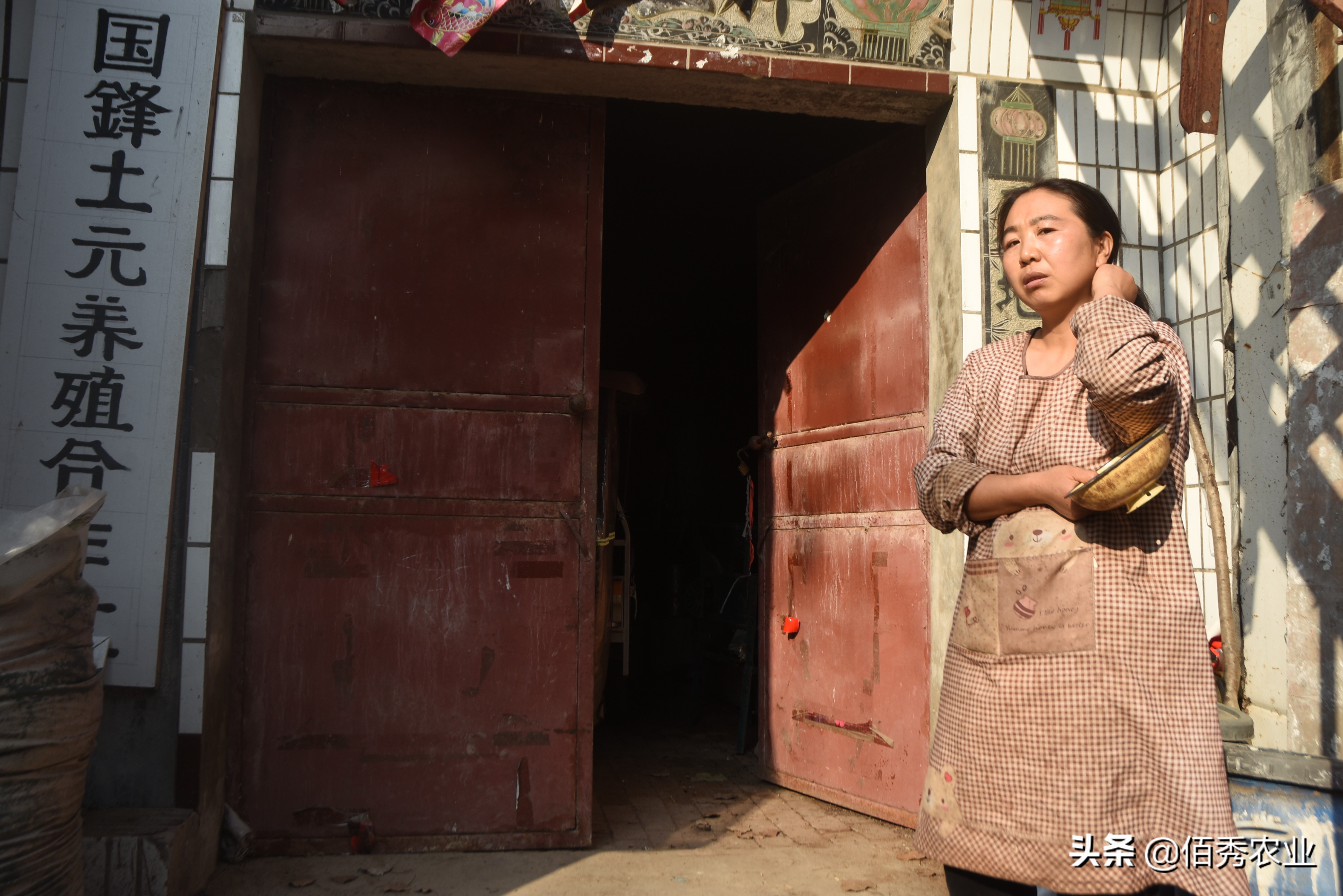 闲不住的农家女,留守妇女在农村种什么赚钱