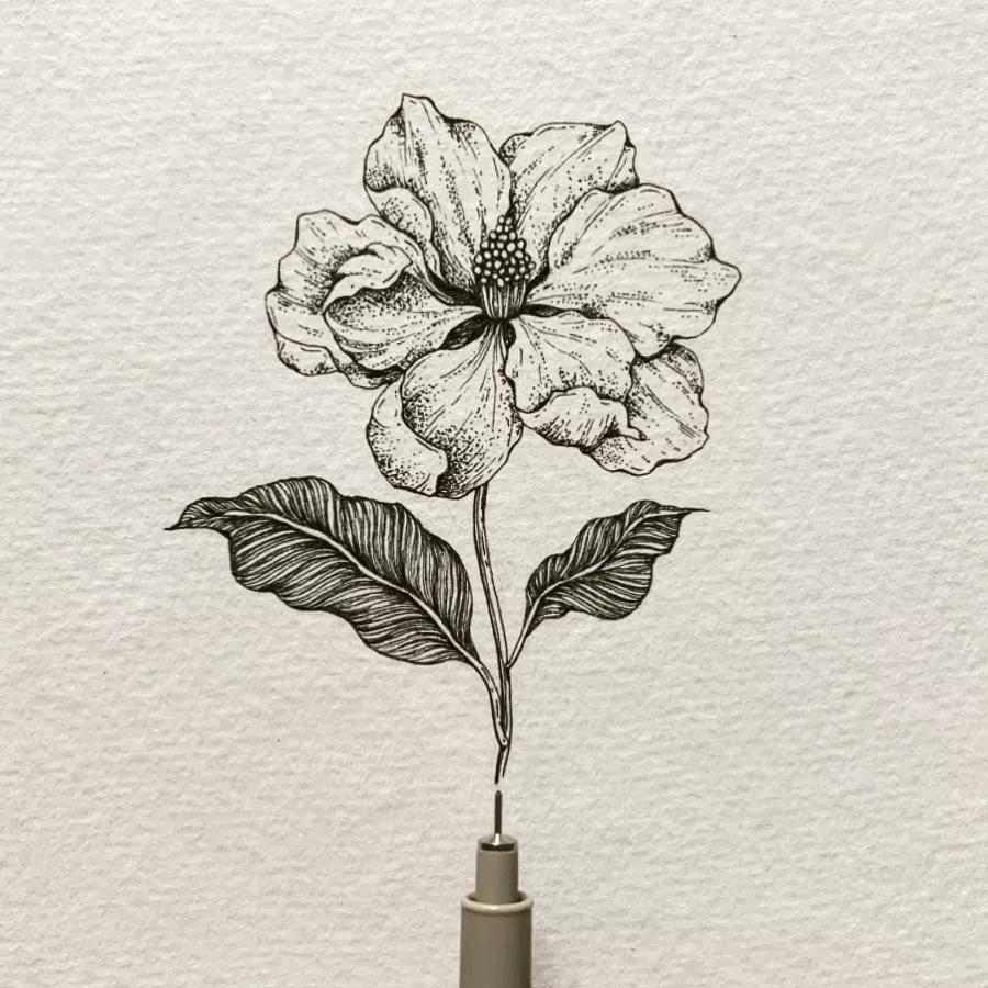 一看就懂的针管简笔画,针管笔入门手绘1000例临摹图