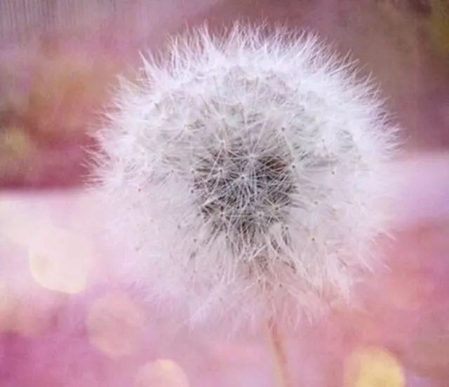 人生和电影一样都是以余味为标准,人生与电影一样都是以余味定输赢