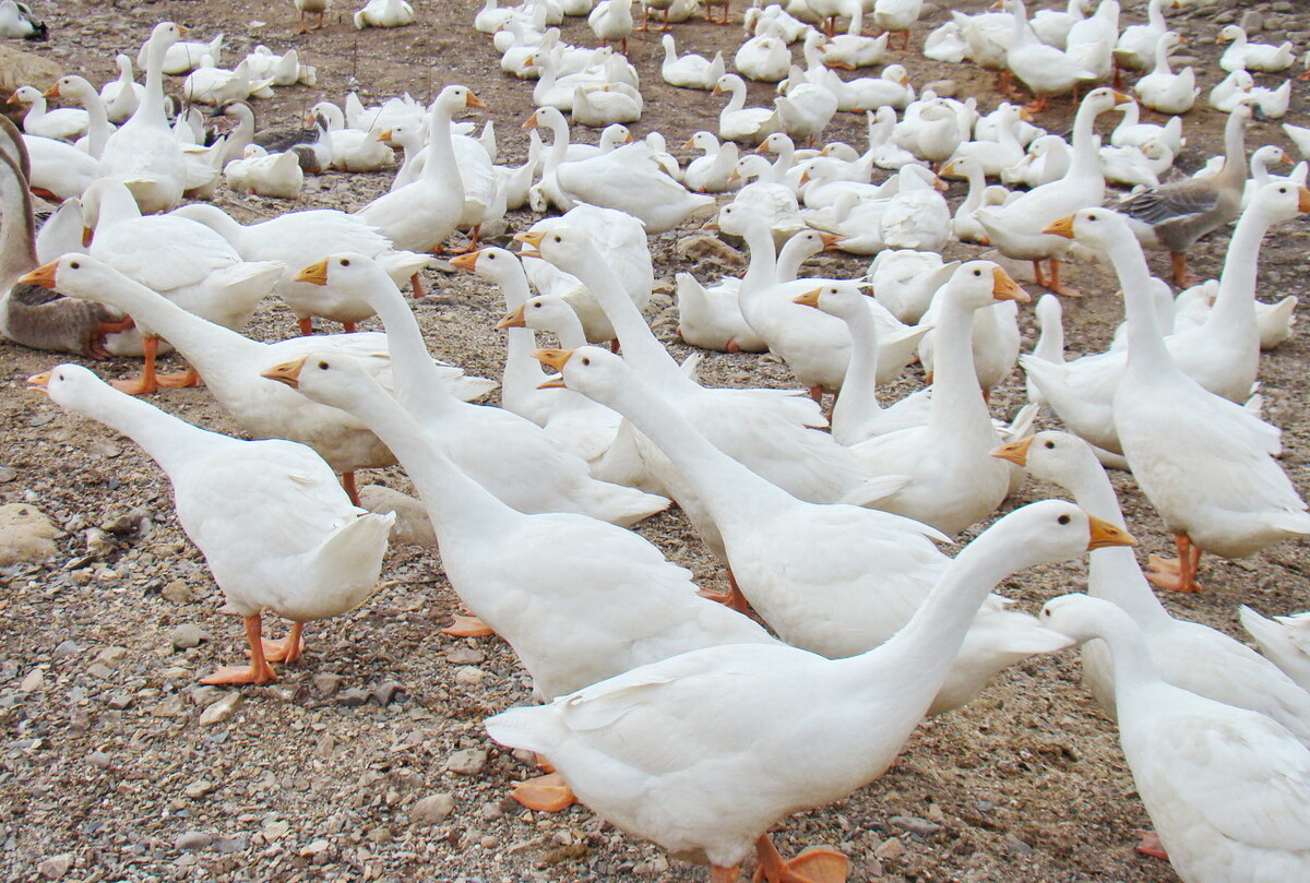 云南项目获批,云南昆明有什么商机