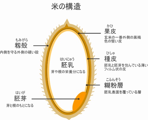 日本清酒獭祭什么价位,日本最贵十大清酒