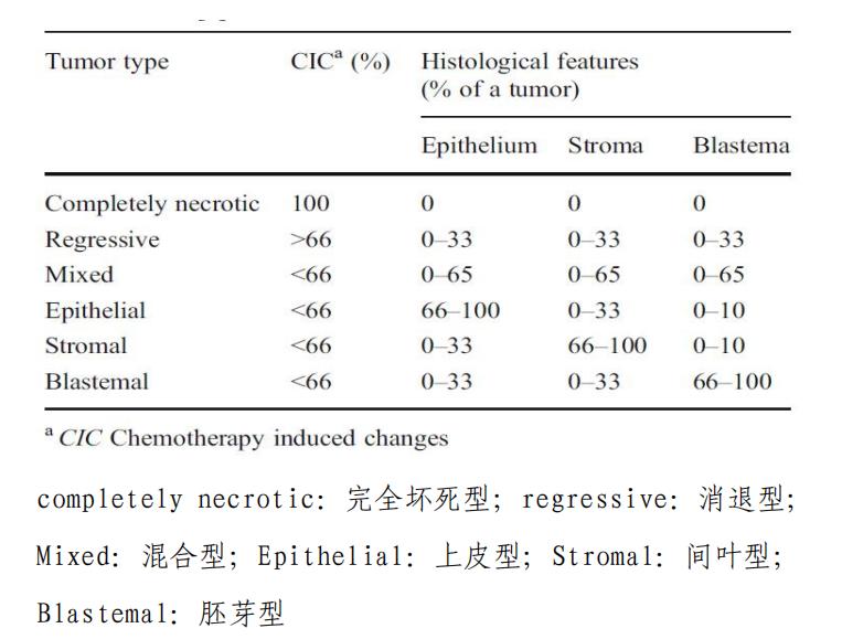 儿童肾母细胞瘤严重吗,儿童肾母细胞瘤最新治疗规定