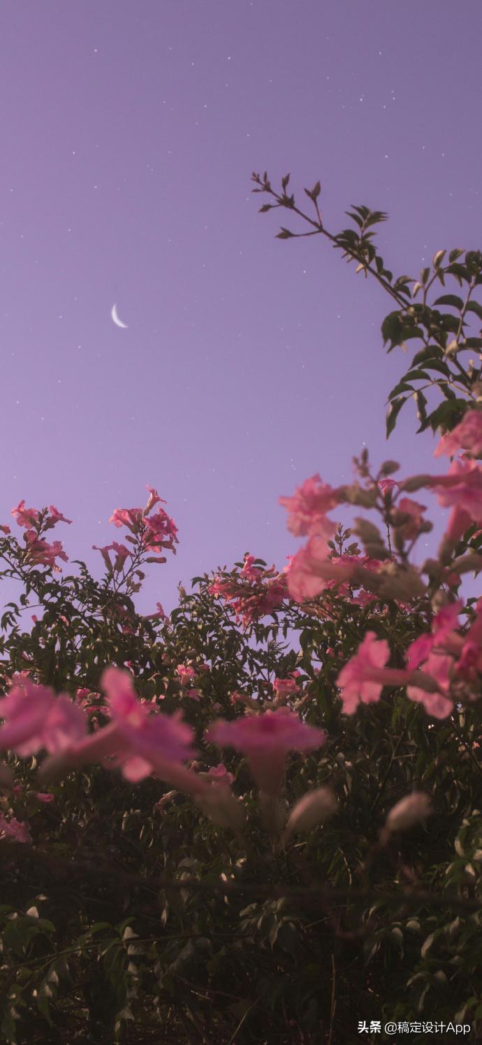 压箱底高清无水印壁纸,压箱底壁纸分享绿色护眼