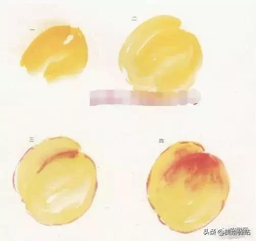 蔬菜怎么画最简单画法,水果蔬菜怎么画又简单