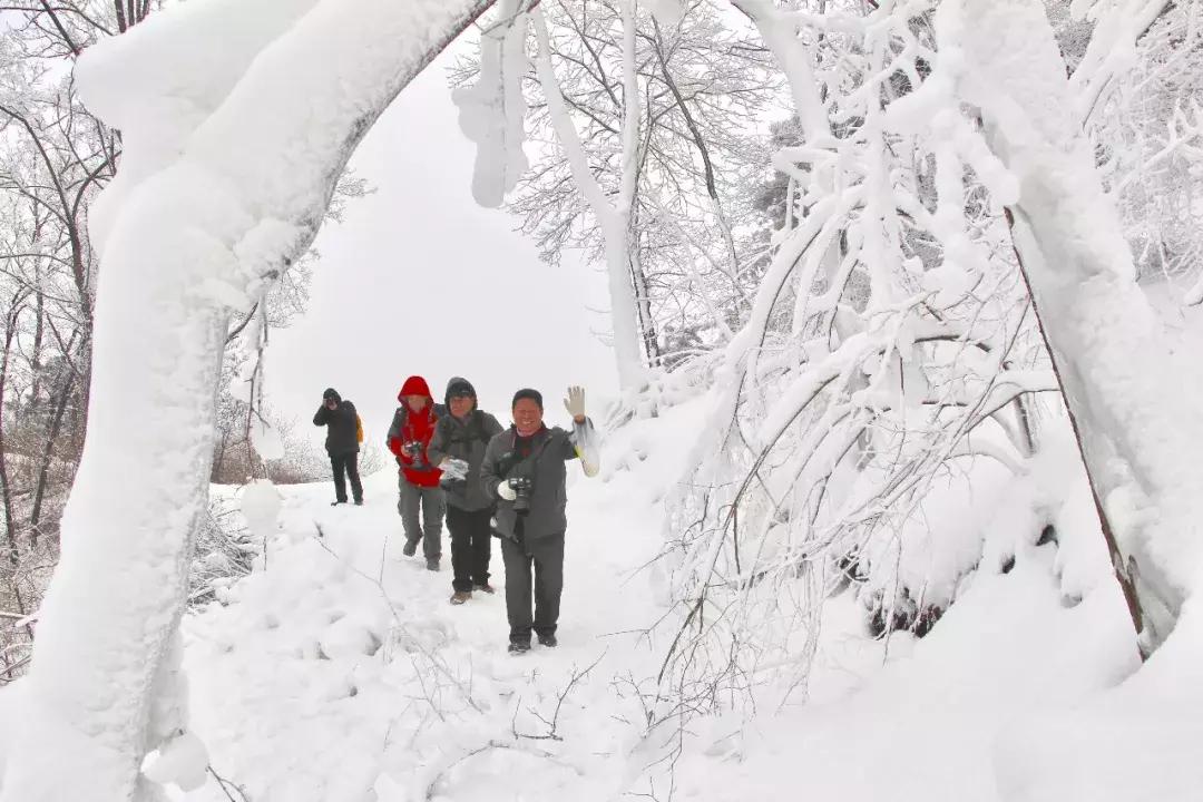 中原雪乡｜满足你对雪国的一切终极幻想