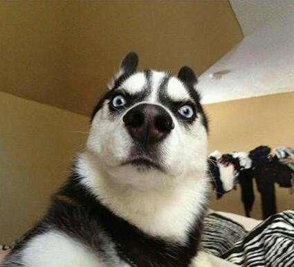 打蛇为什么要七寸，把头打烂没毒牙，还不够安全吗？