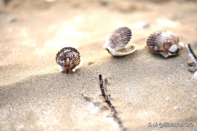 河北景区关闭最新通知,河北的景区关闭了吗