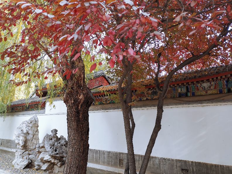 原乡回大陆,原乡自驾游