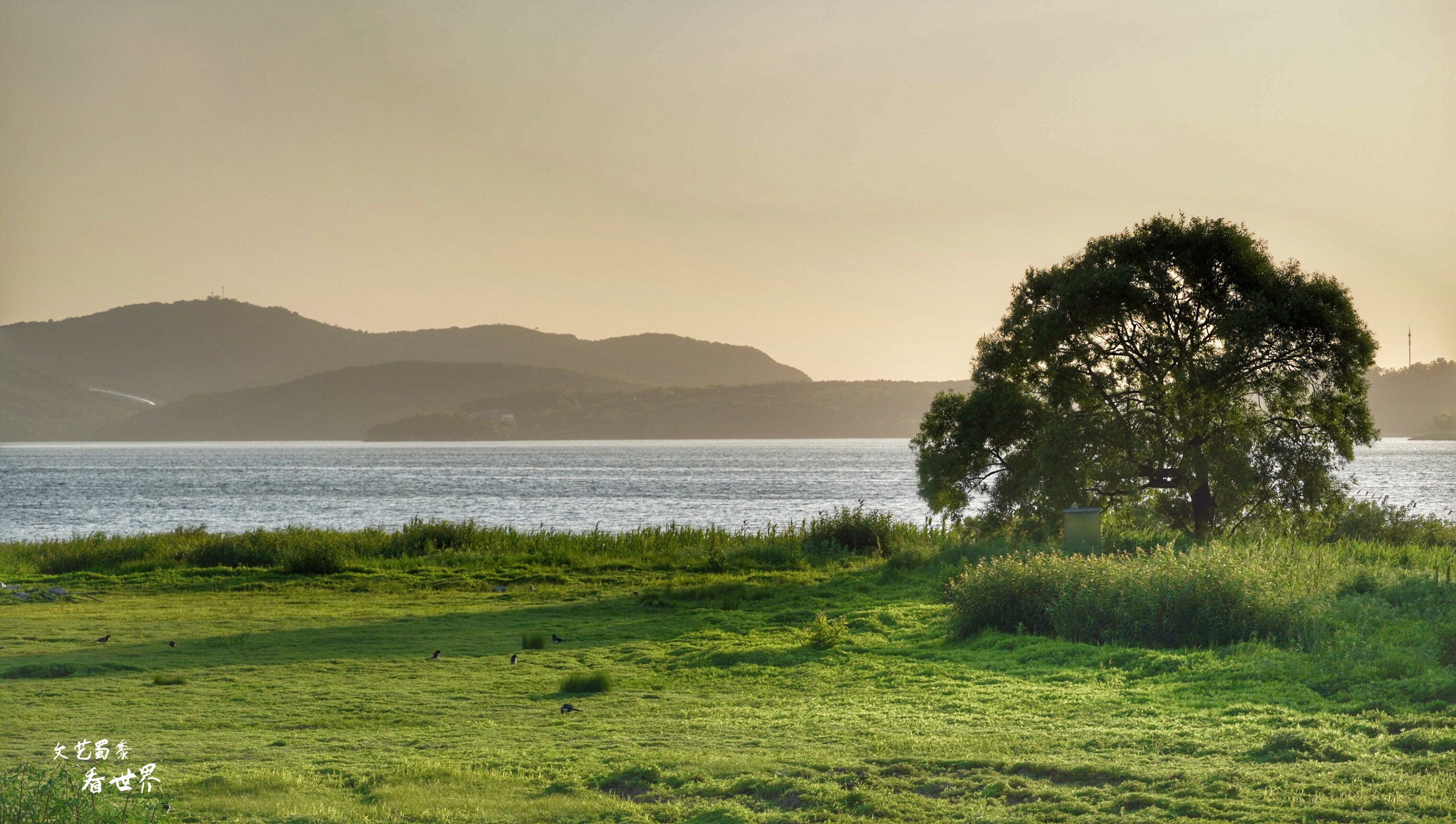 沈阳室内旅游攻略必去景点有哪些,沈阳周边值得去的小众景点有哪些