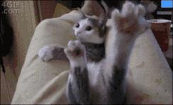 久坐伤肾有道理吗,久坐伤肾可以治好吗