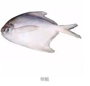 心痛的感觉！八种海鲜暂别啦